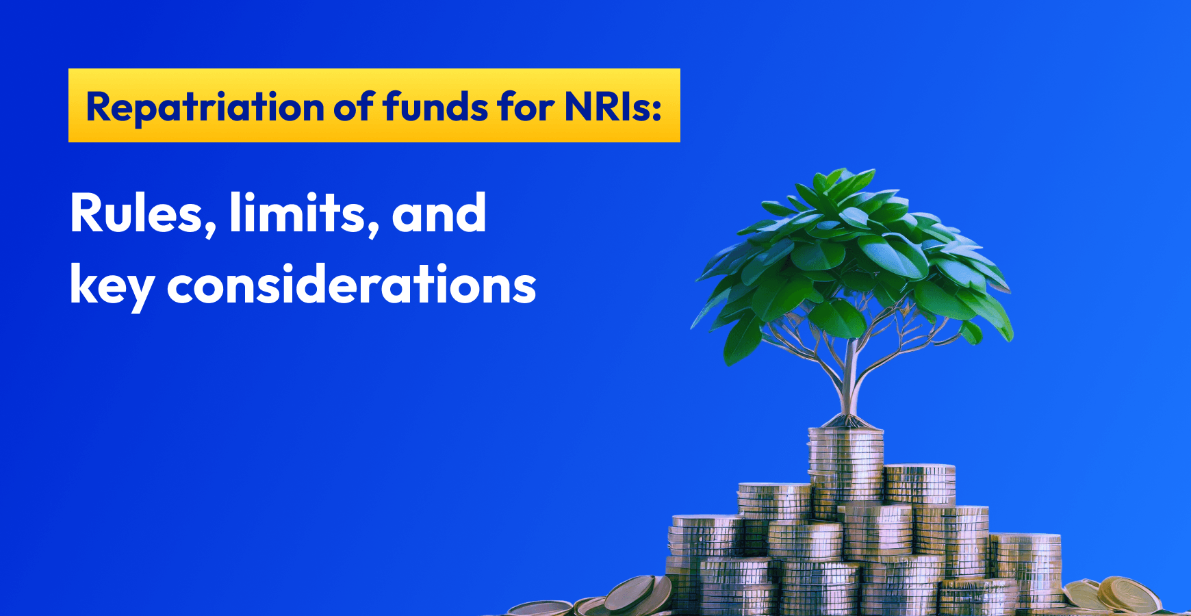 Repatriation of Funds for NRIs