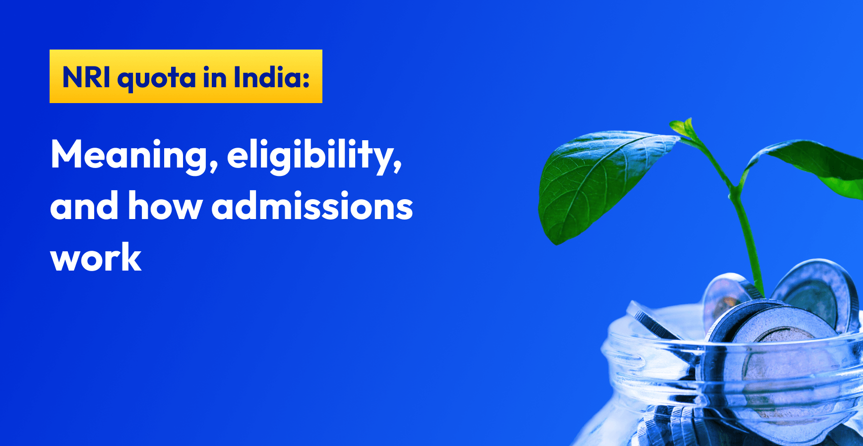 NRI Quota in India